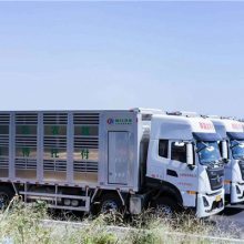 活禽運輸車 黃牌畜禽獸禽運輸車分期按揭價格及圖片指南
